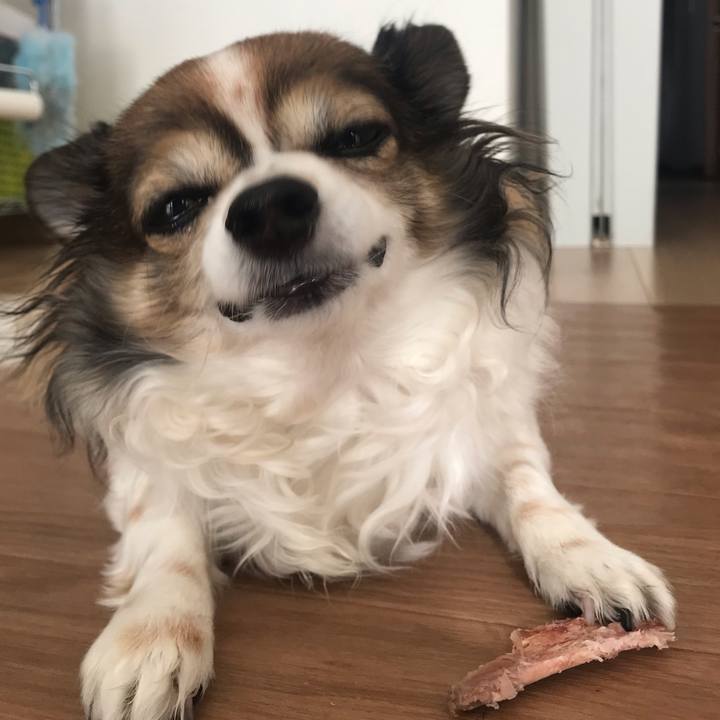 5cce9cca 7eb5 4d85 ba2e e2edbf4a6130 1676872286802