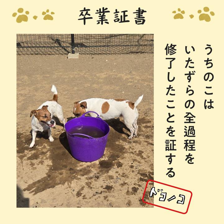 5cceb33d 0c07 407f 9b47 42507a8f7197 1771826713229