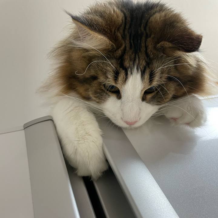 5ccee370 c5e8 4330 8187 c82395a9e8b3 1642885205926