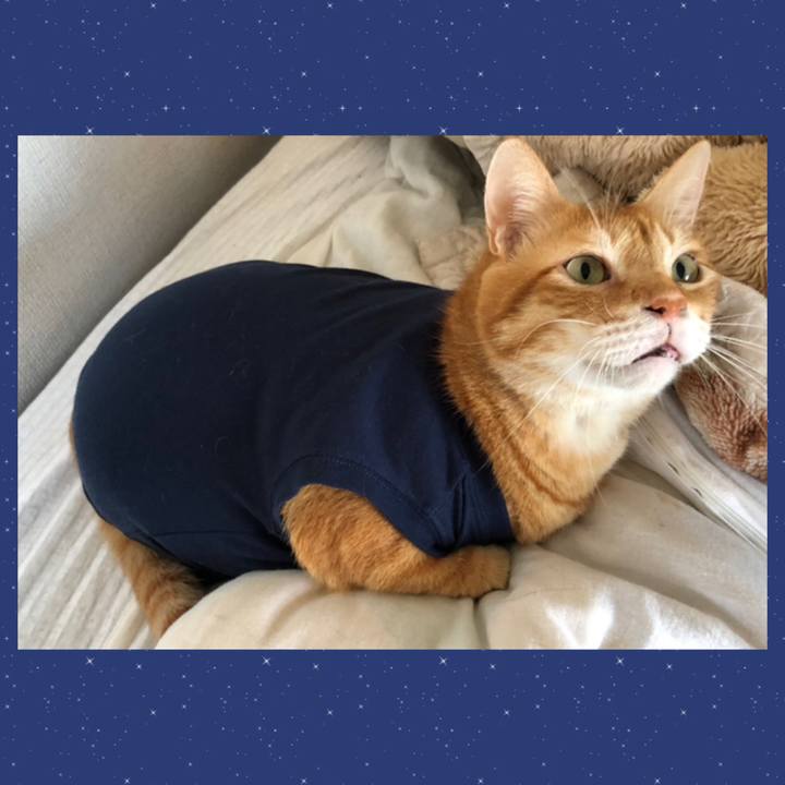 5ccef06d d41a 4d5b a644 4642973a2c59 1630834490755