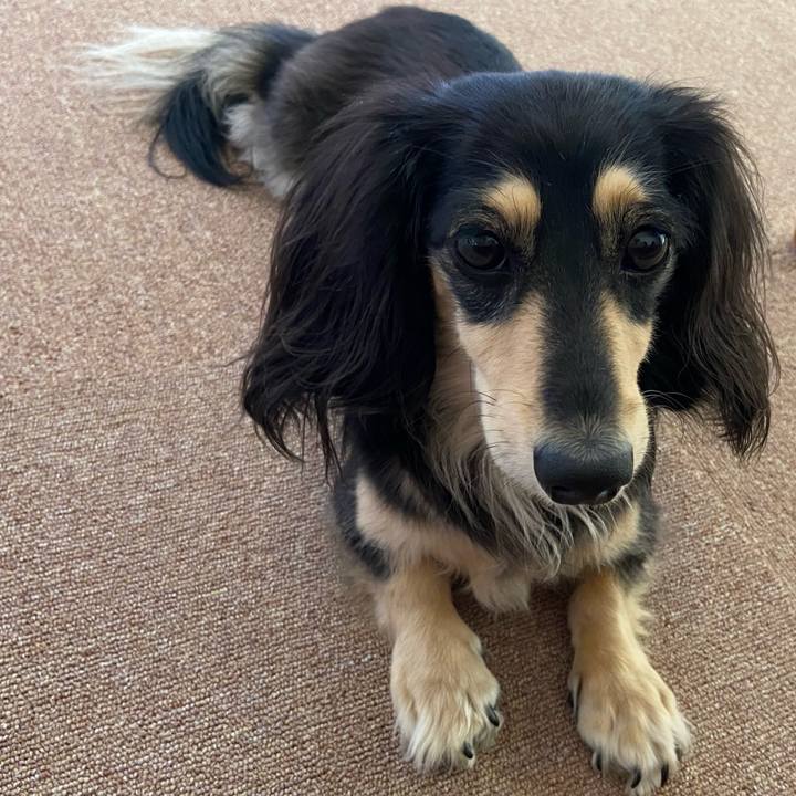 5ccf235c 289e 4640 8cba 29fd902b762f 1742872295653