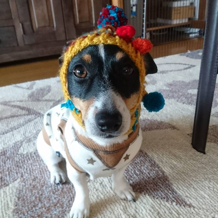 5ccf2877 0aaf 46d5 973b 9143108437b0 1550408374346