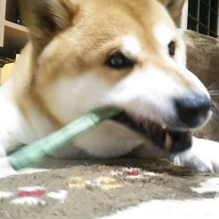 5ccf2ff7 c92a 4a0b a28b ba4b3430587f 1556701225001