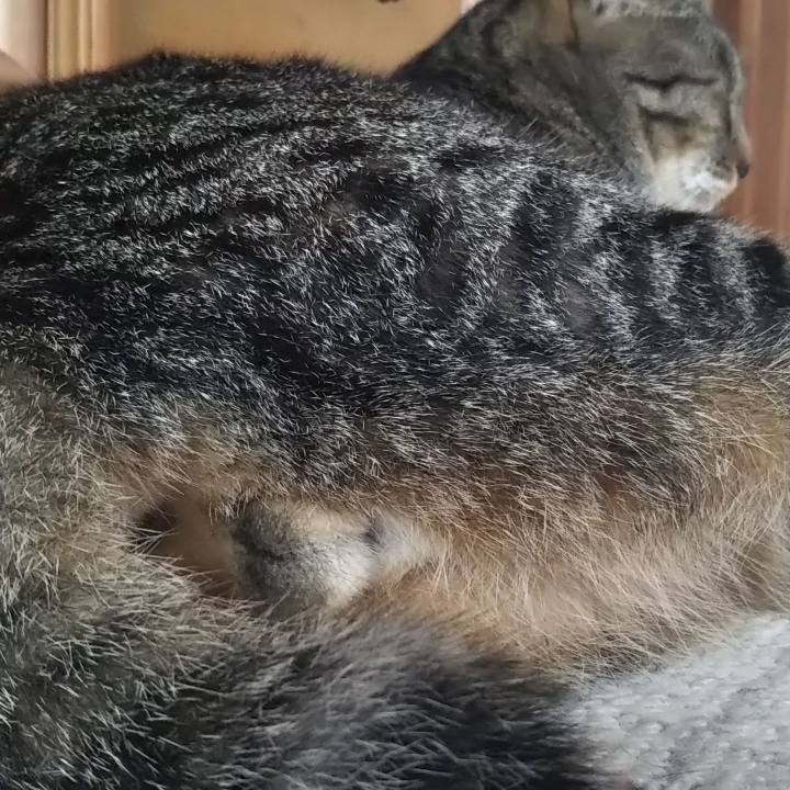 5ccf42f2 4e76 4b66 9266 b8eb9dfdccf9 1628982451600