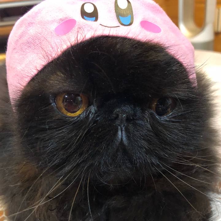 5ccf50f1 cca7 4061 8dc7 d75570c278ae 1536966278039