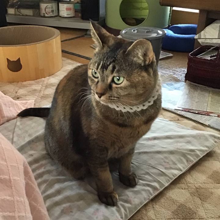 5ccf530f 7f54 4afb 99a7 49ae322d99e2 1740567984361