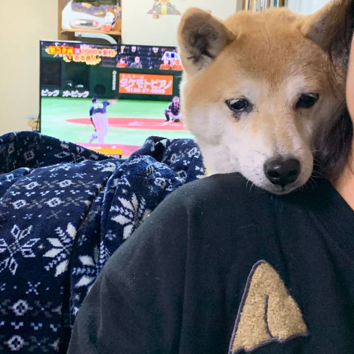 5ccfa733 a124 4317 bc32 1ed48f65fa80 1605407220510