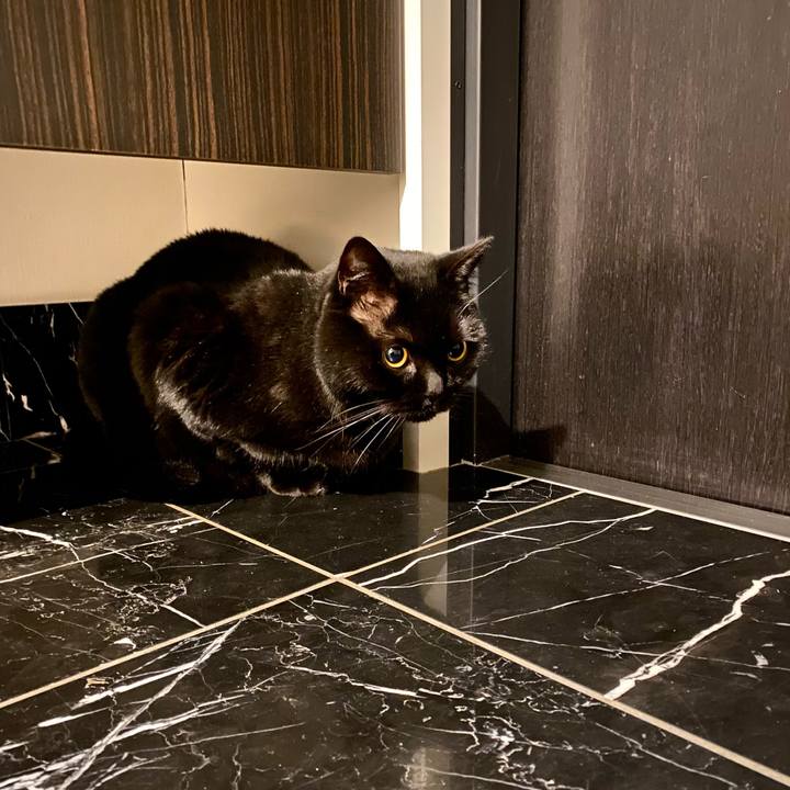 5ccfb351 8677 40da 91da b66db923109a 1710676740602