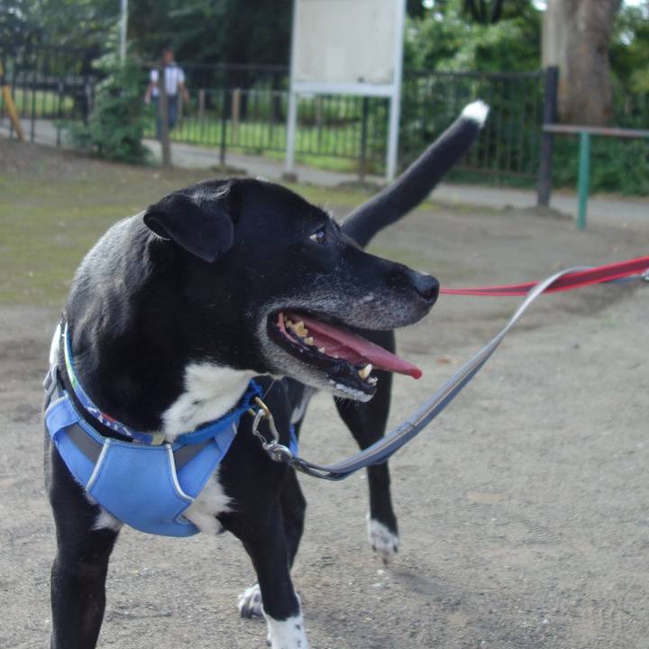 5ccfbd89 5dec 4063 8a61 e23d63d8ebbe 1692576170172