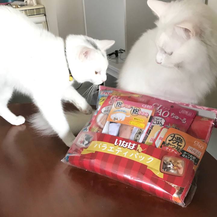 5ccfc37a f0f0 4c85 b0ac 4dcf846890d8 1578973654245