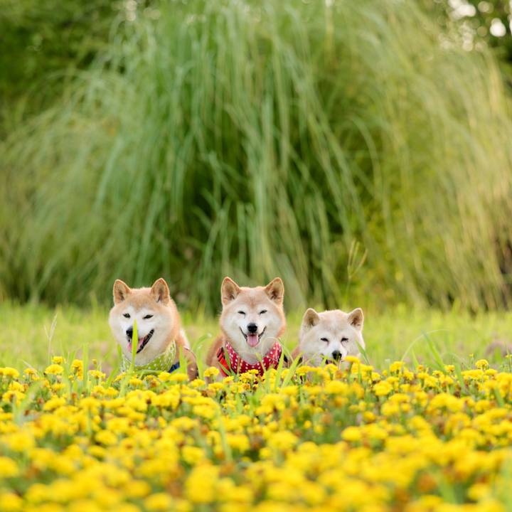 5ccfeee9 0f7f 47cd 81dc f280a7ad6784 1753454493411