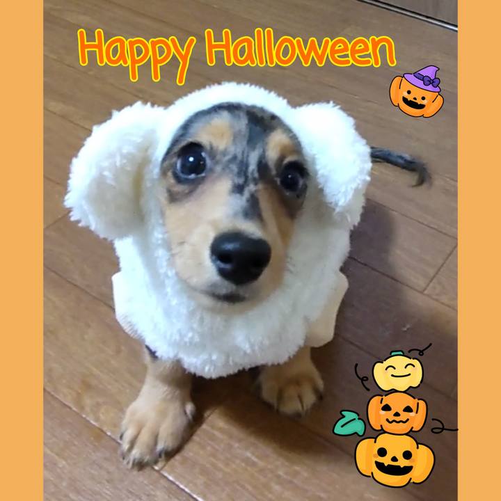 5cd0002c a22e 4262 b881 c8d3767b366b 1698577652745