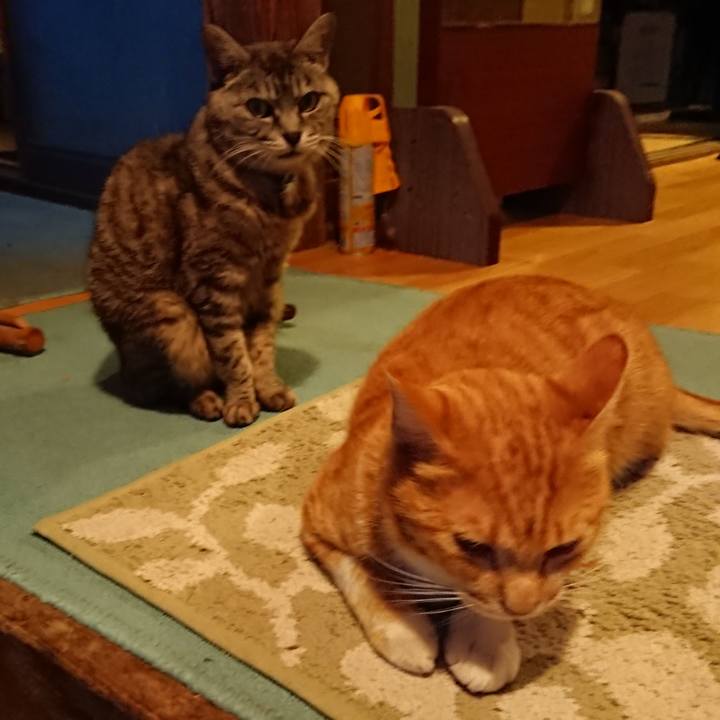 5cd03b00 6d5e 4828 819f fc96ee9a93a5 1569575197804