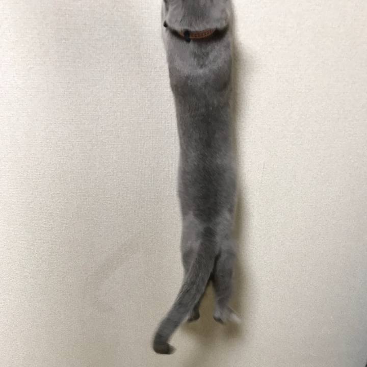 5cd07262 f335 448e 8c92 8e910a00f0fa 1519657480449