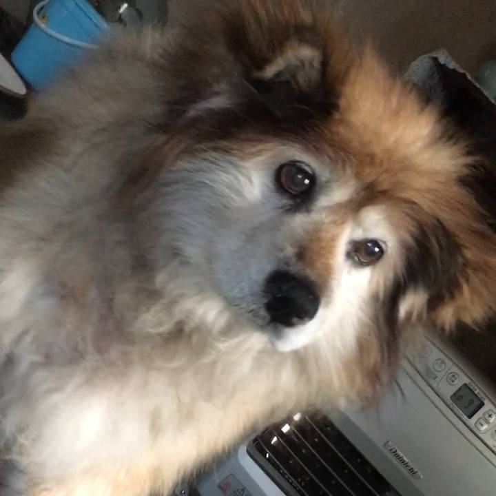 5cd08020 8d8e 4ce0 99e8 ea05e5294f19 1630338005092