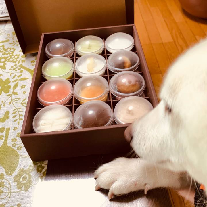 5cd08521 fb08 4bd1 8149 d2cc345178a6 1633136597455