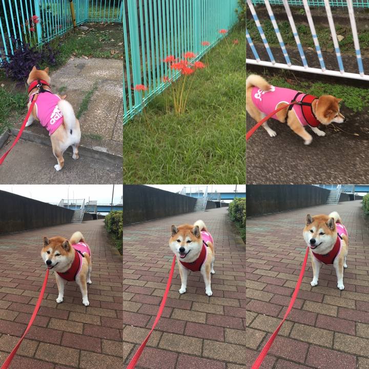 5cd0a2e7 1332 41e4 b7ac 7c4705dd1697 1601369729177