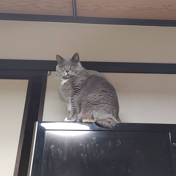 5cd0ce9f 018c 4ed7 806f 7800ea503f10 1642082506090