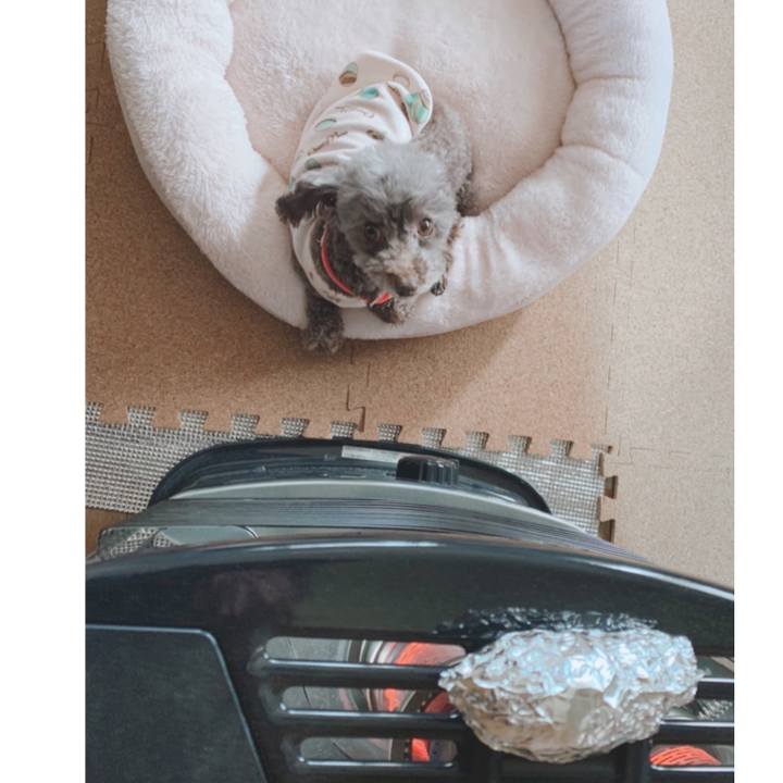 5cd0d458 1a35 4b9f ad45 bb9cc6de052b 1640736816488