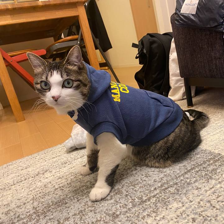 5cd102bf 3ce8 41fb bf38 513520b4a9b7 1641824862089