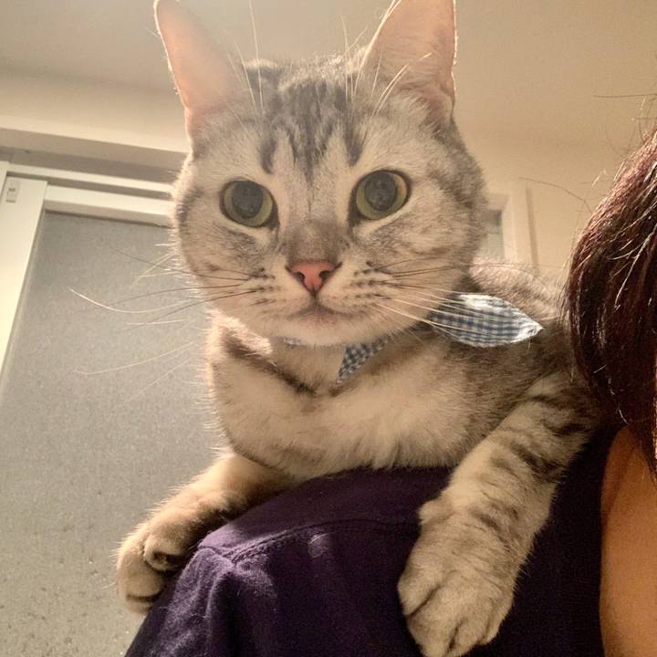 5cd1049f e102 41ea 9940 290e662a0472 1574986497383