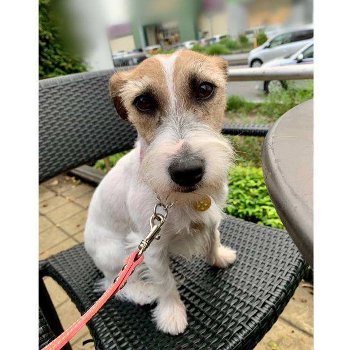 5cd10b39 2ca0 4c1f 9e43 eaa47cef89e0 1602413473732