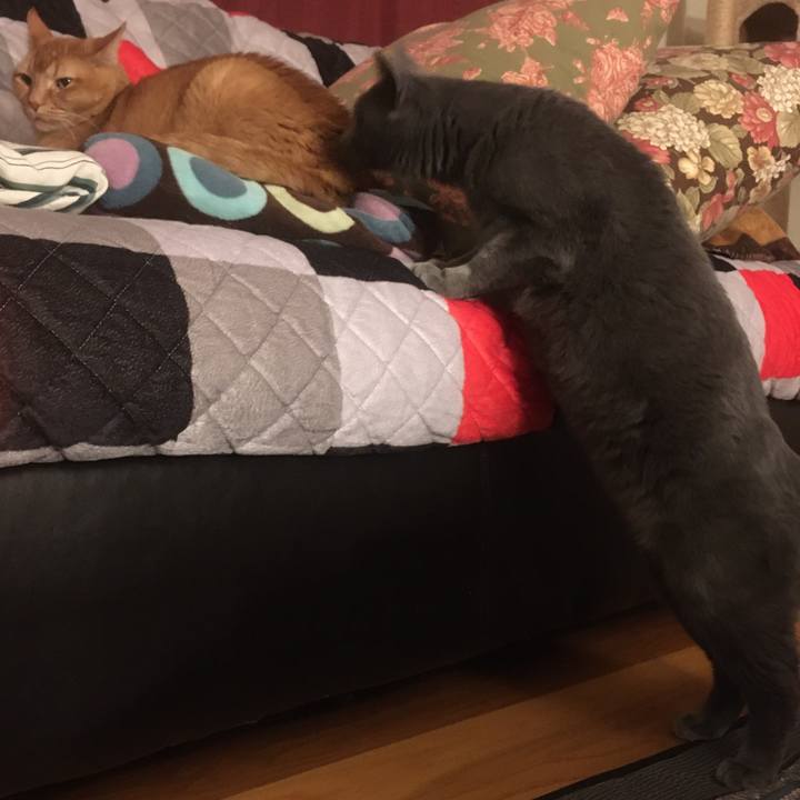 5cd11c34 36f0 4704 854f 53f872b77ba2 1633394470408