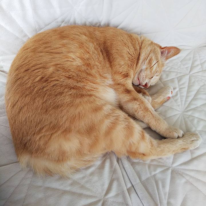 5cd12db8 4080 4825 92d0 5288d72be70c 1632885711721