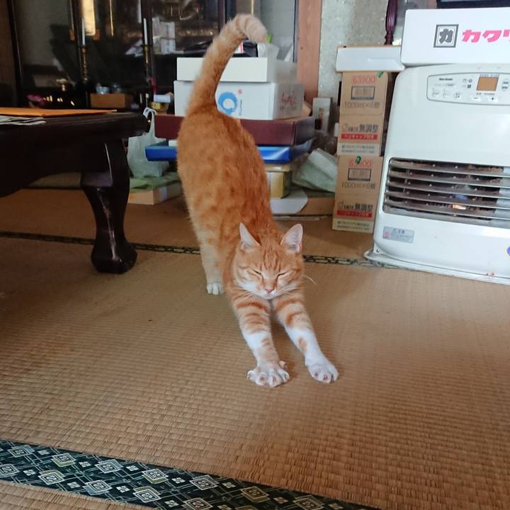 5cd16408 a643 483f 958a fc29d17a68c3 1595133666632