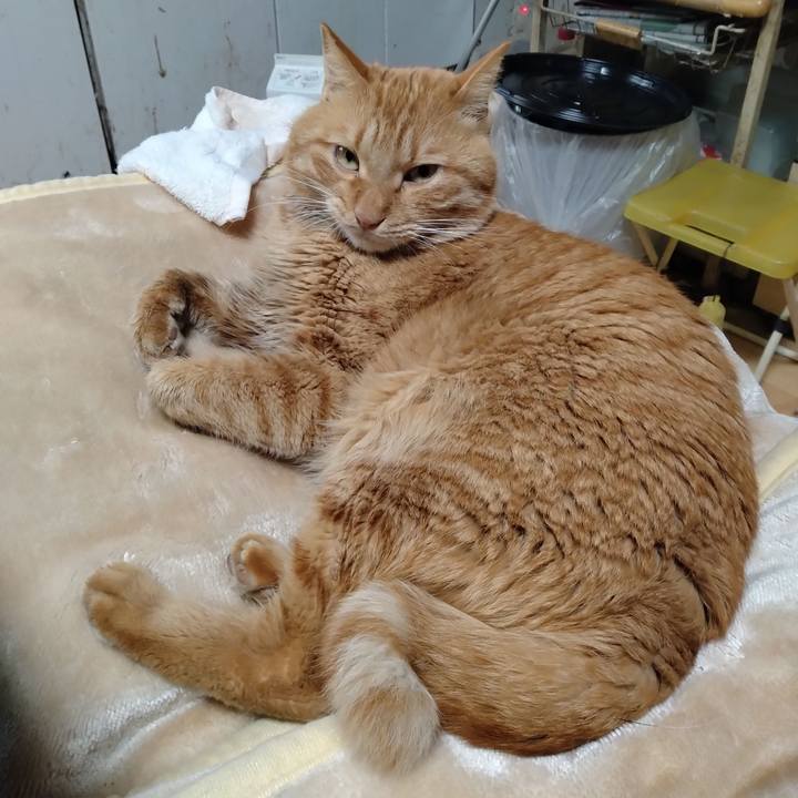 5cd1667a 232a 4d91 86ef 3446374433a3 1703571673581