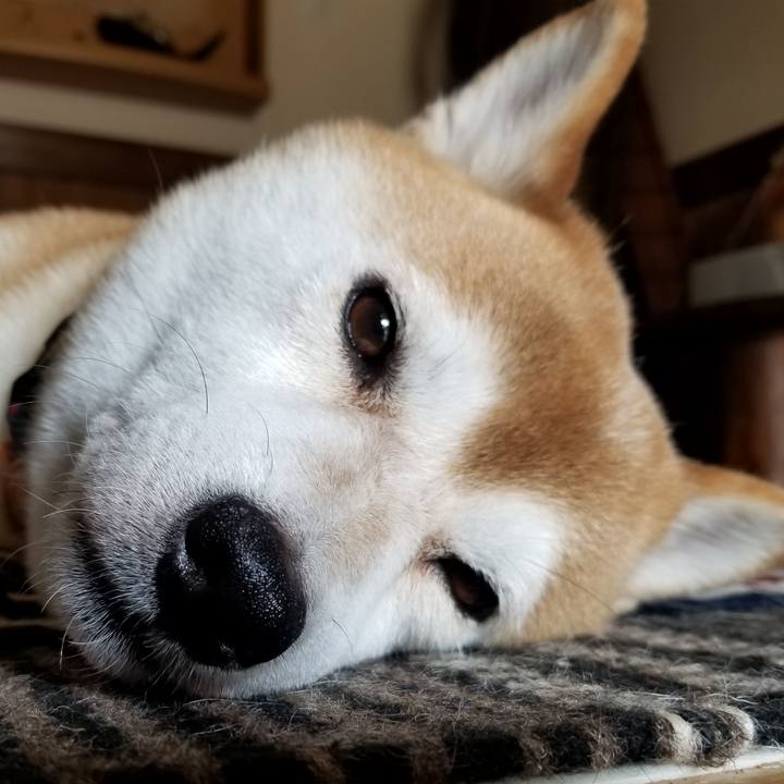 5cd166f5 786a 4d74 801c b0272e0aa9eb 1567233489252