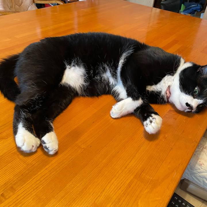 5cd169ed 1097 4dbb a1e6 8afdb38f99f4 1754272030928