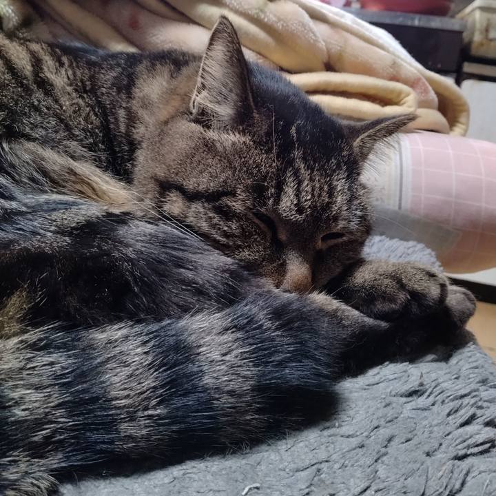 5cd1875d fda1 41f7 95b8 7137808478b9 1670886278968