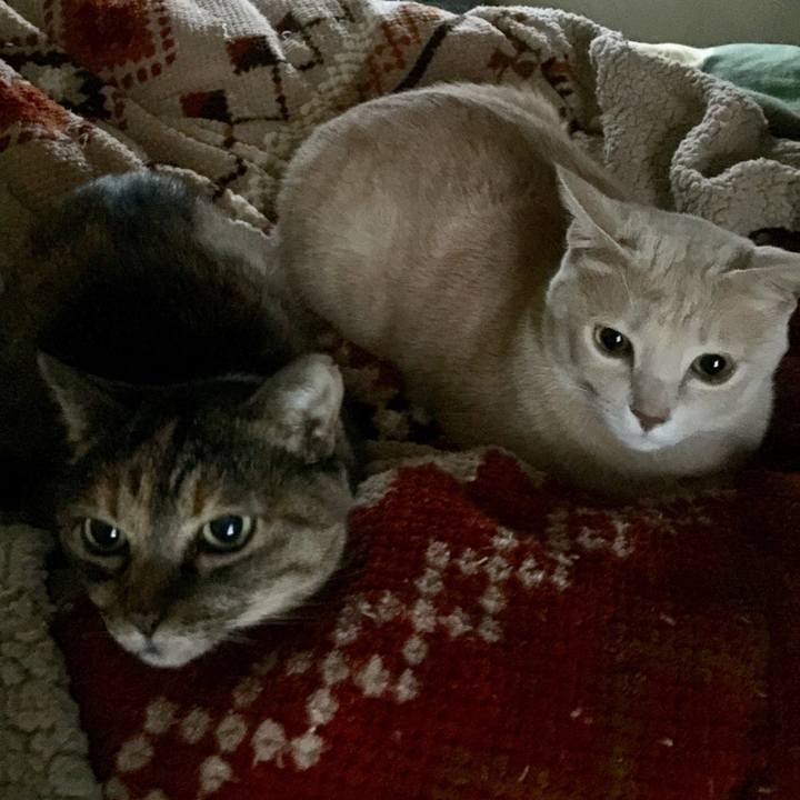 5cd19f95 ad6e 419e a46e 2d23274b0bac 1511128847227