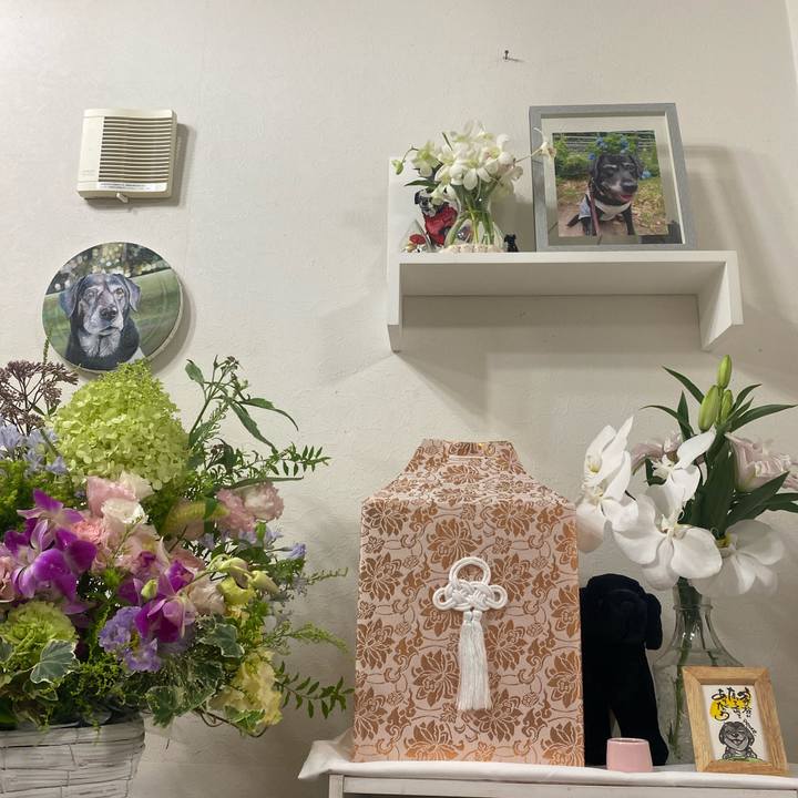 5cd1be59 395d 4ccf a93d d3aaf0213deb 1754141950447