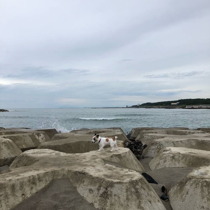 5cd1e41d 58ae 45e9 ae7c ac4d27333d55 1595633685842