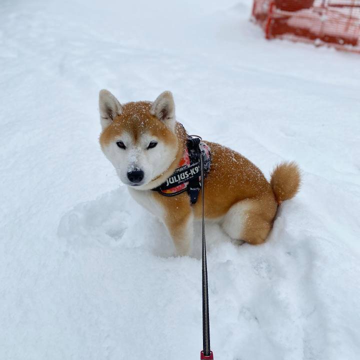 5cd20af5 a0e2 4866 8e69 47ead1bf8ca3 1673855995665