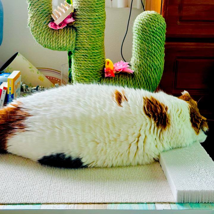 5cd216e8 73f0 446f 89b6 59b268930533 1726618035897