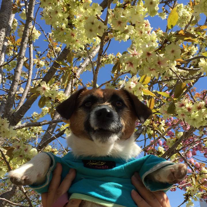 5cd23446 82a9 41d9 99b1 d7c350535851 1523151643051