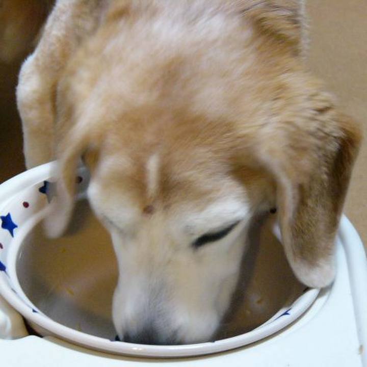 5cd2432c 349f 492f 8518 a3b1bd2f87a4 1686531409691