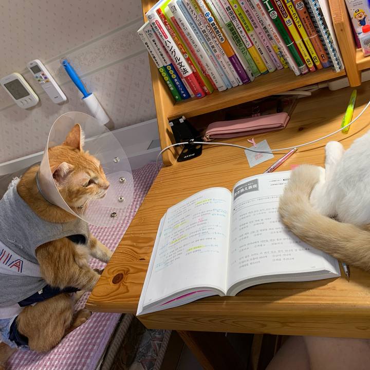 5cd25e88 c8f2 4b09 aaa8 a79a0b1e814a 1633985827132