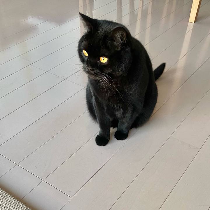 5cd271ae d470 4dab be7e 008de7957e59 1681117176851