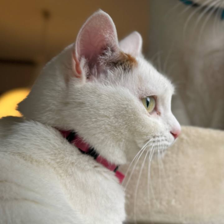 5cd2ab6e 5e56 4ffe a1dd a232d48c146e 1767178420423