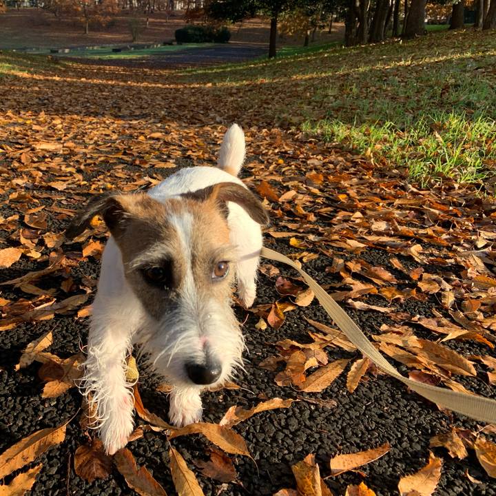 5cd2b92b 1dc7 4671 a0ec c7065fb2a021 1576113757675