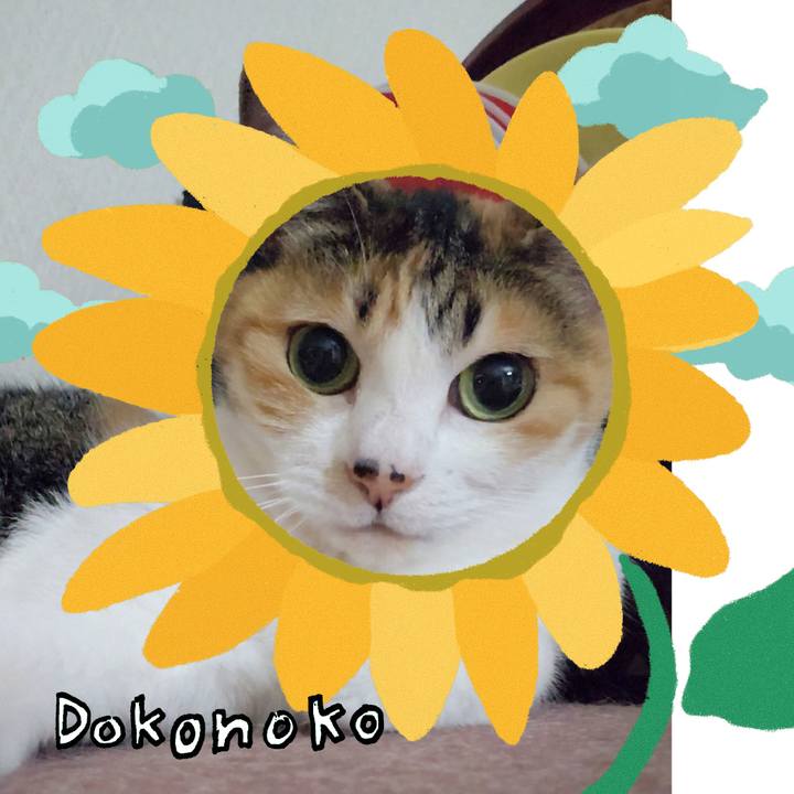 5cd2f7cb 66ff 429f ad01 2ce79332a1cc 1723359955258