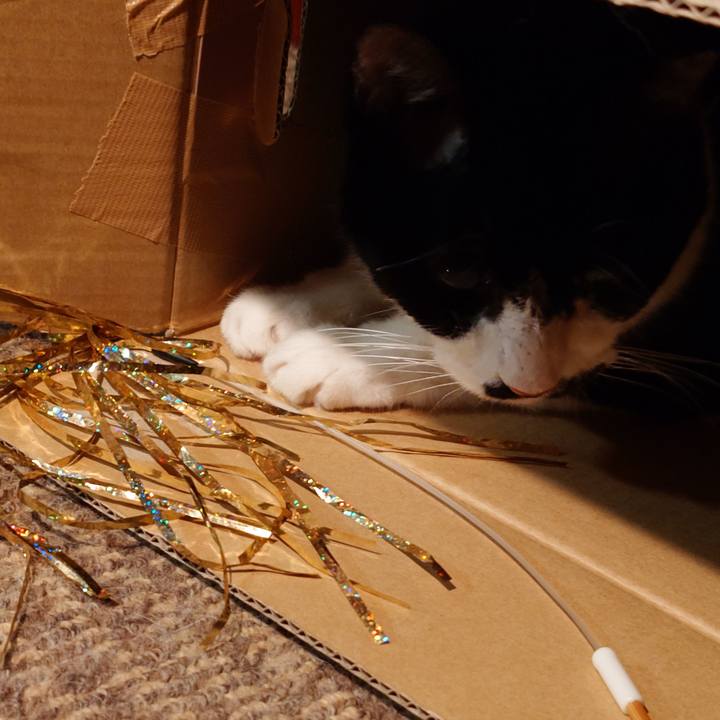 5cd3000e 4c15 469f 835f 5e23e27280d8 1758462105887