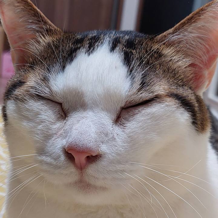 5cd31dfa 75d6 40ef ba5a e1139334085a 1726308455034