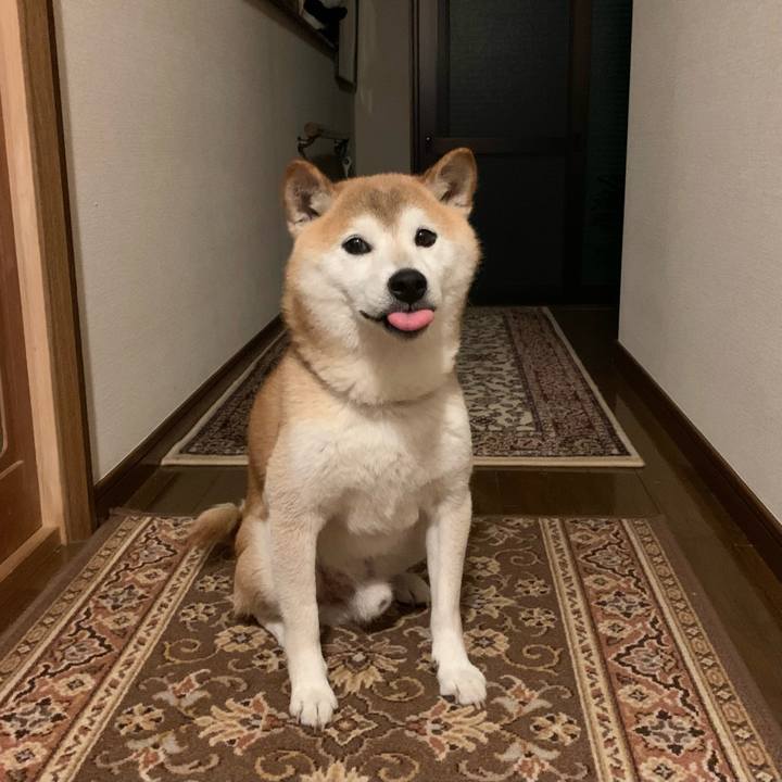 5cd337f4 aaf5 457e 9674 555918368c59 1691234124820