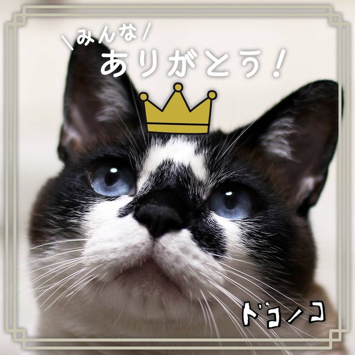 5cd33942 7ed7 45e5 a642 19f9692e7166 1622867091154