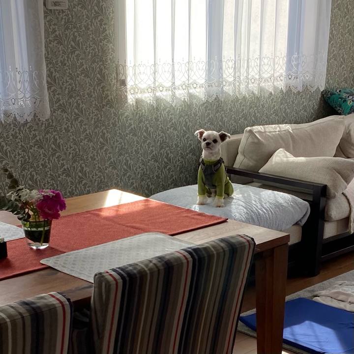 5cd33bbe 0e07 4c13 9455 1505f1a1cf13 1612271595481